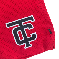 Scarlet Training Mesh Shorts — Breathable Performance Fit