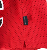 Scarlet Training Mesh Shorts — Breathable Performance Fit